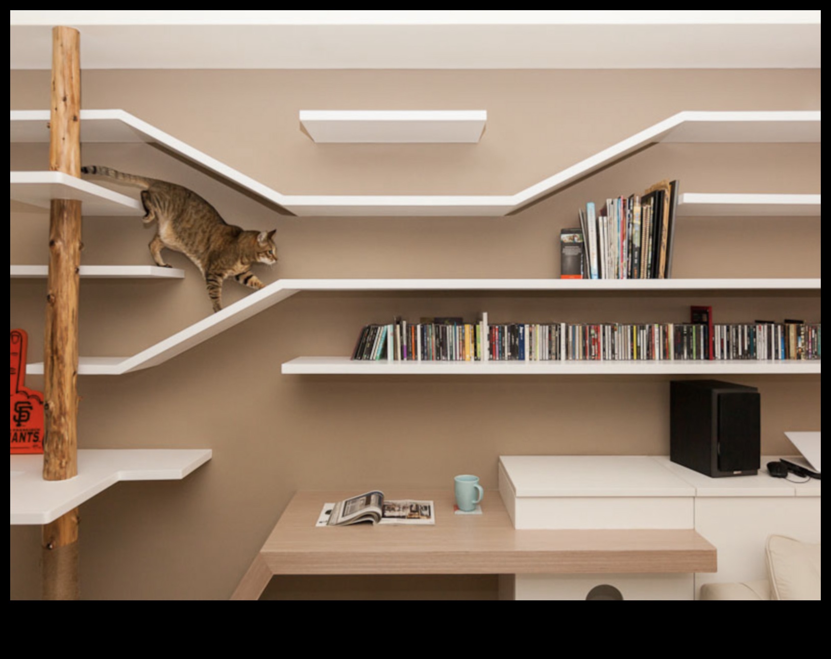 Catwalk Confessions Συμβουλές για κομψούς εσωτερικούς χώρους για σπίτια φιλικά προς τις γάτες 2 Catwalk Confessions: Κομψές συμβουλές διακόσμησης εσωτερικού χώρου για σπίτια φιλικά προς τις γάτες