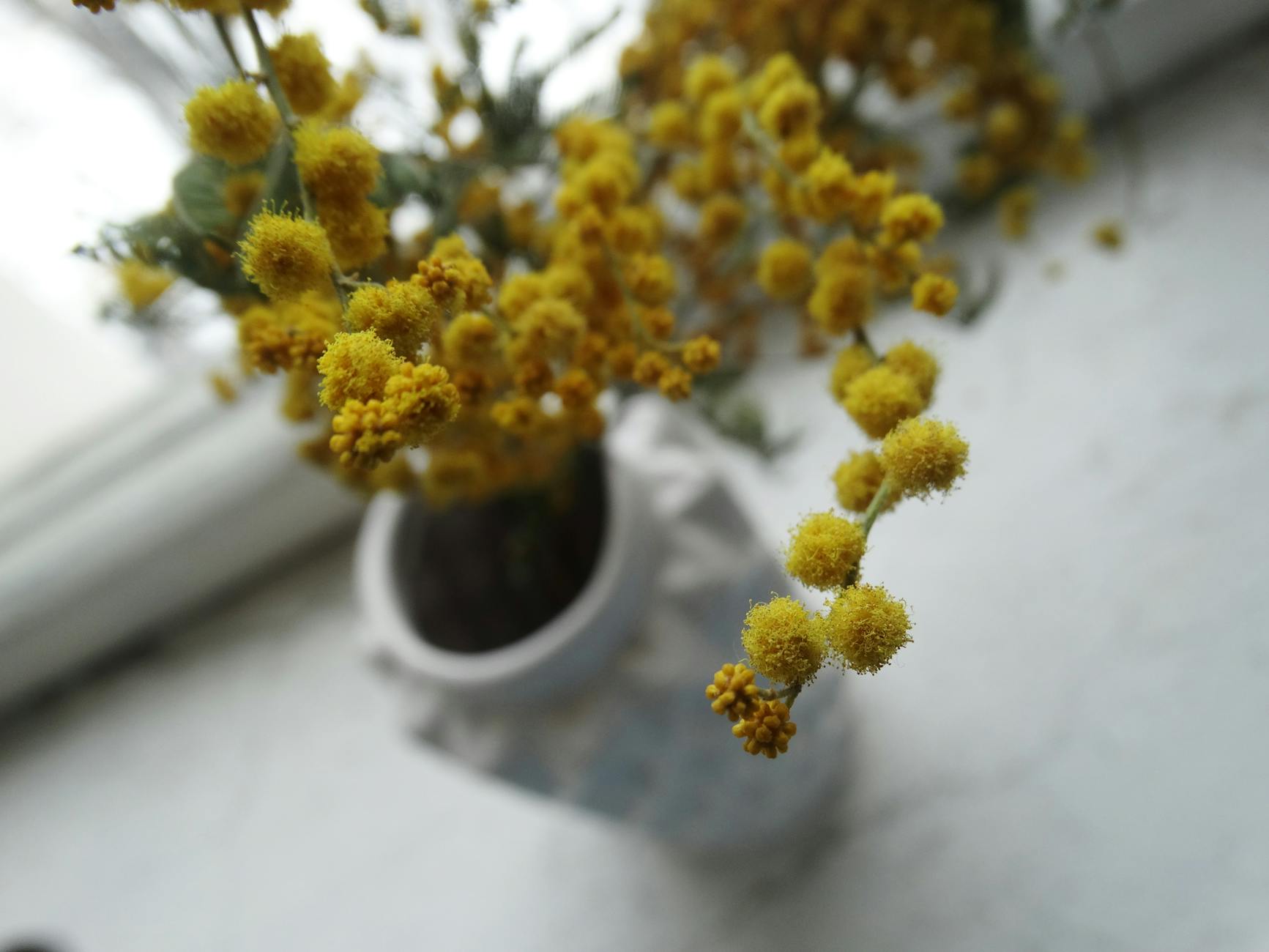 Η τέχνη της αποτύπωσης του τοπίου 66 pexels φωτογραφία 1056610