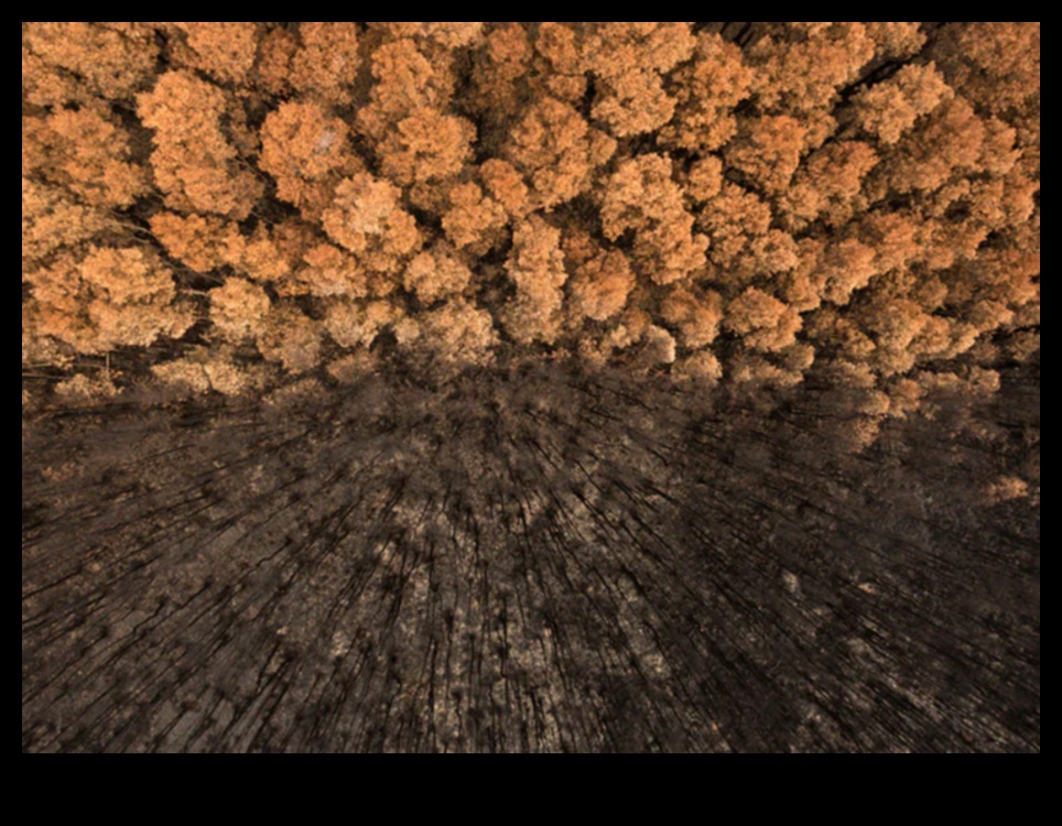 Η τέχνη της αποτύπωσης του τοπίου 2 Sculpted by Nature: A Landscape Photography Extravaganza