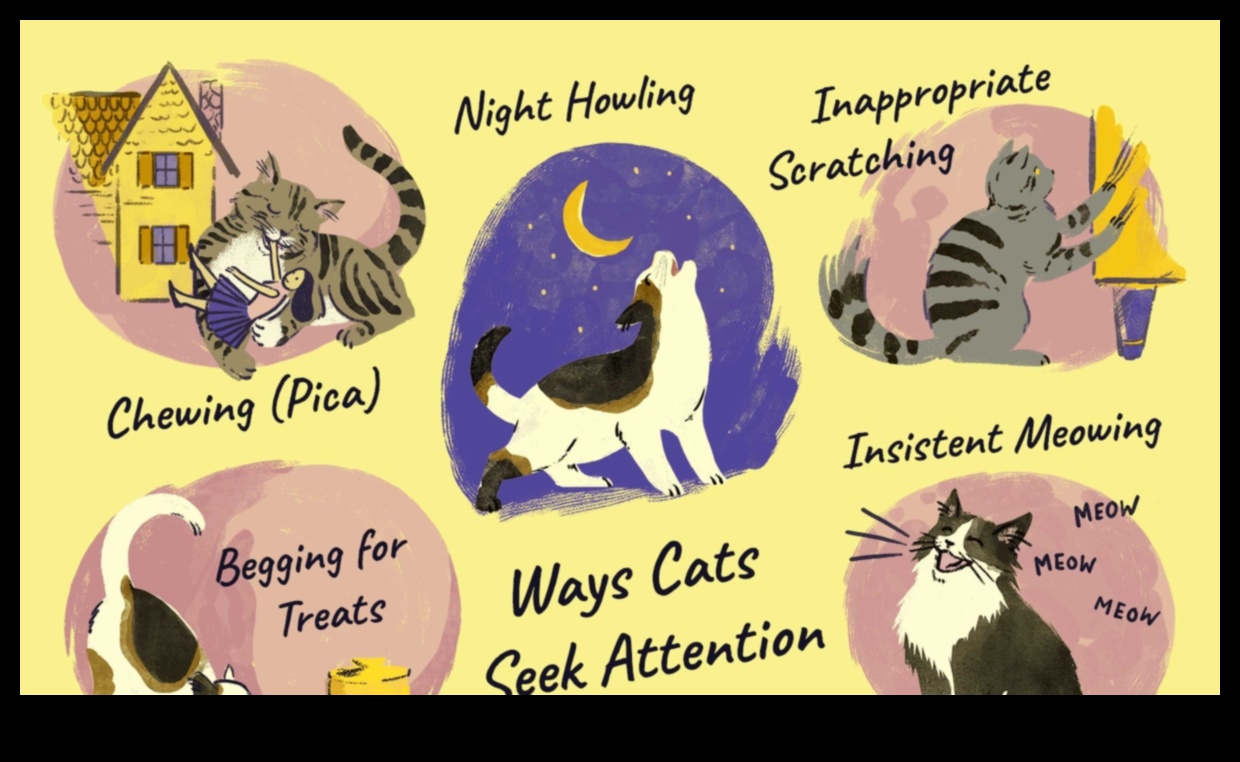 Από τα πόδια έως τα μουστάκια που αποκωδικοποιούν την επικοινωνία γάτας 2 From Paws to Whiskers: Decoding Cat Communication