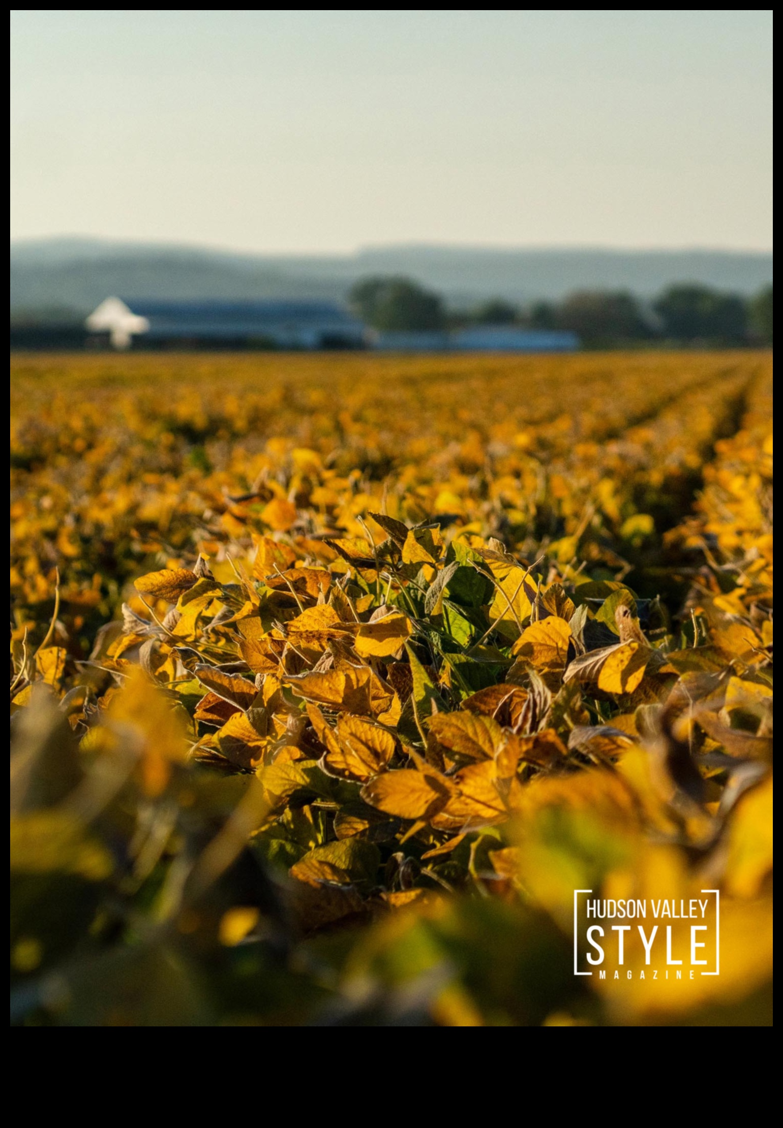 Scenic Landscapes A Visual Feast 10 Άπειροι Ορίζοντες: Τοπία που αγγίζουν τον ουρανό