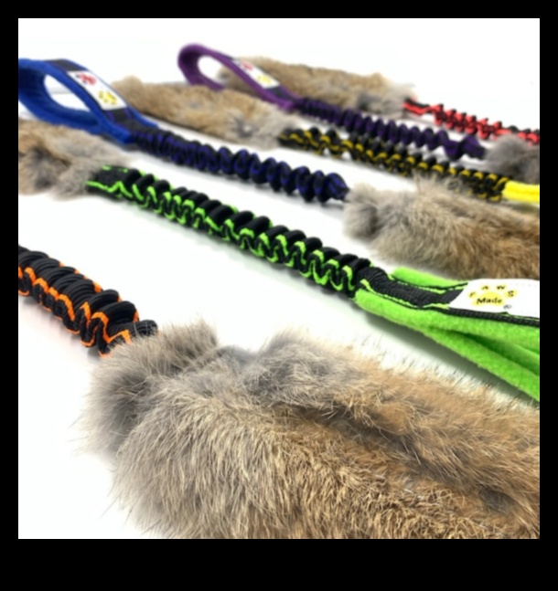 Bunny Bungee Παρέχει Διασκέδαση Jumping για Κουνέλια 1 Bunny Bungee: Παροχή Jumping Fun για κουνέλια