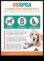 Golden Years Senior Pet Care Strategies for Aging Companions
