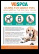 Golden Years Senior Pet Care Strategies for Aging Companions